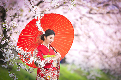 京都ロケ成人式前撮り6桜傘