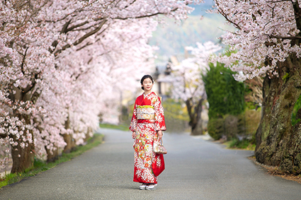 京都ロケ成人式前撮り7鴨川桜